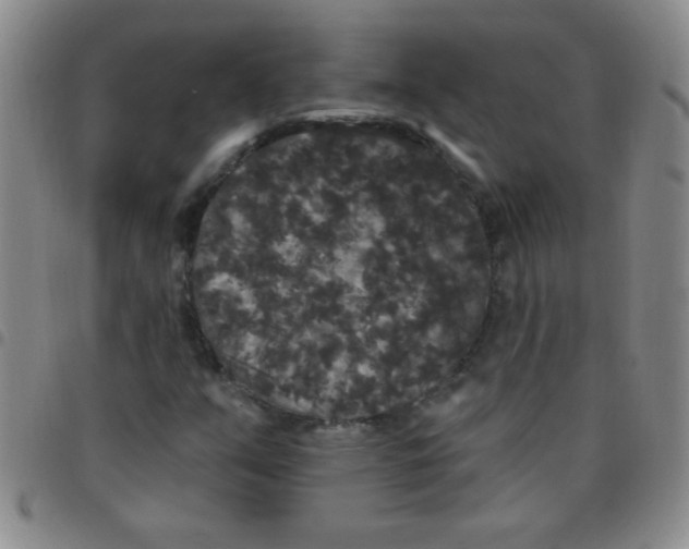 X0000097491351200803141948