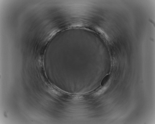 X0000097491353200803141947