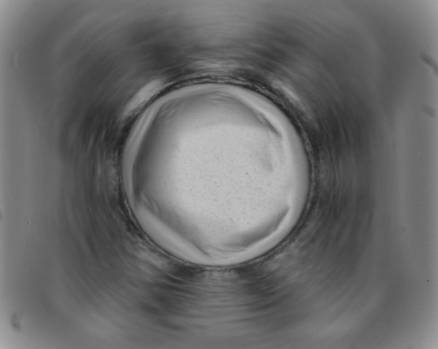 X0000097491354200803141947