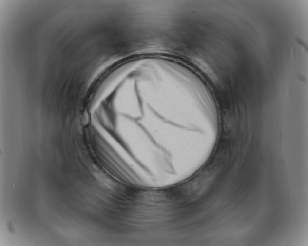 X0000097491356200803141947