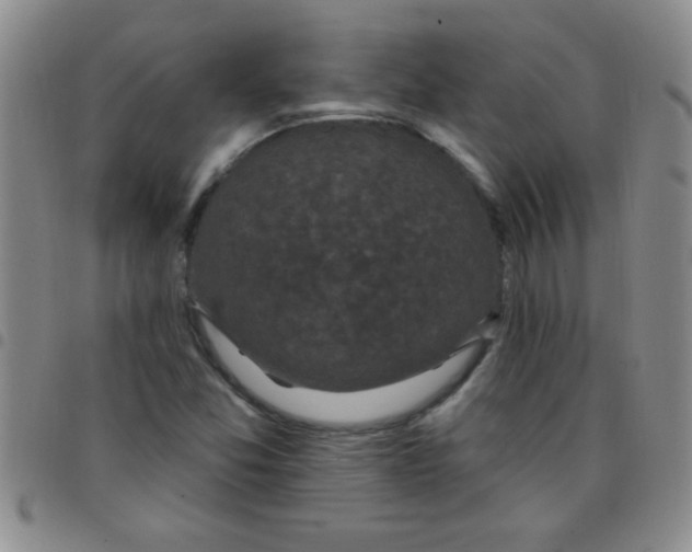 X0000097491357200803141947