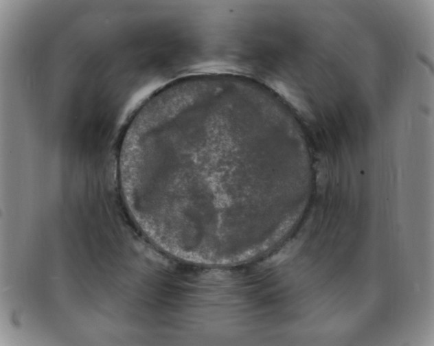 X0000097491358200803141947