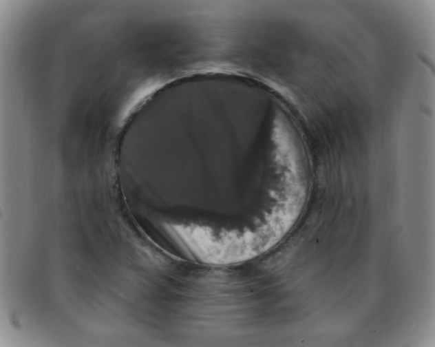 X0000097491359200803141947