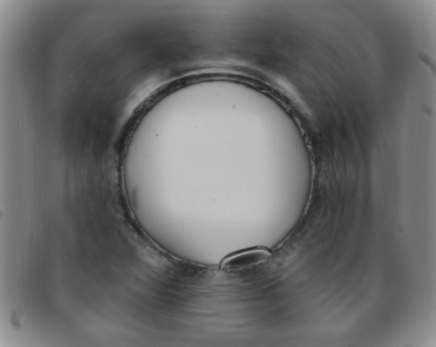 X0000097491360200803141947