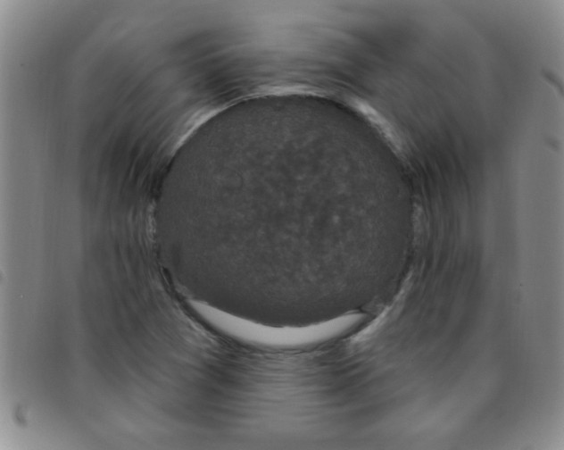 X0000097491361200803141947