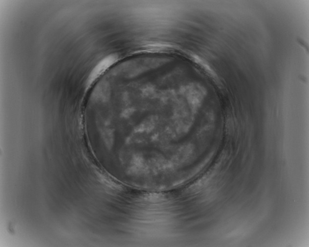 X0000097491362200803141947