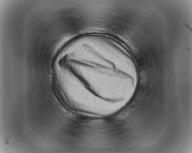 X0000097491363200803141947