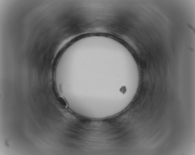 X0000097491364200803141947