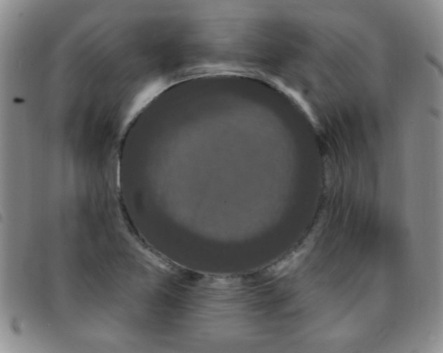 X0000097491365200803141947