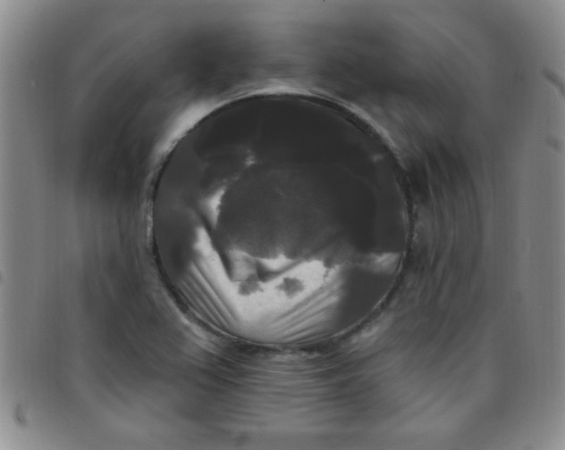 X0000097491367200803141947