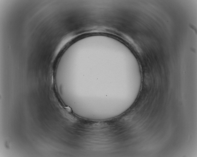 X0000097491368200803141947