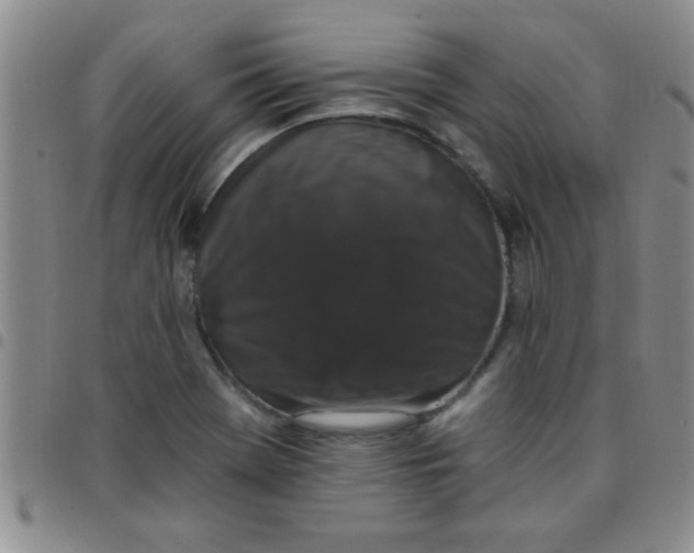 X0000097491369200803141947