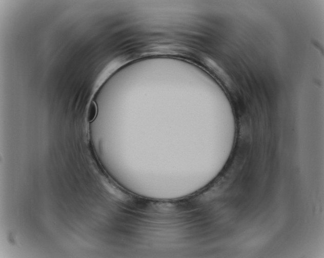 X0000097491370200803141947