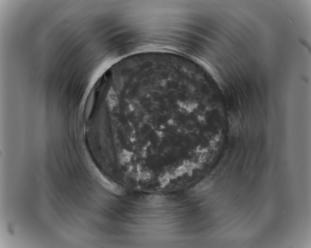 X0000097491371200803141947