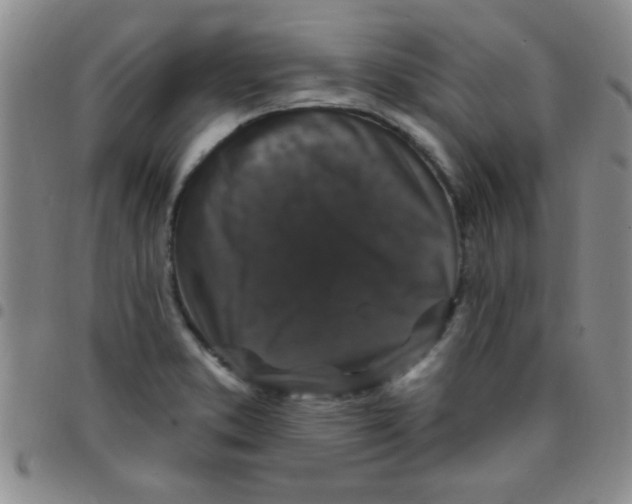 X0000097491373200803141947