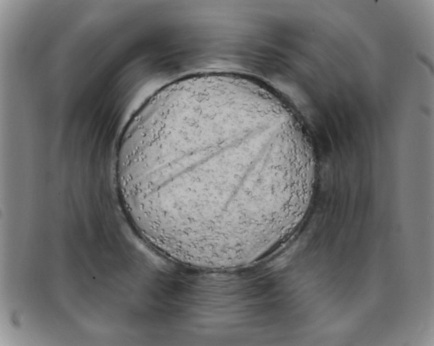 X0000097491374200803141947