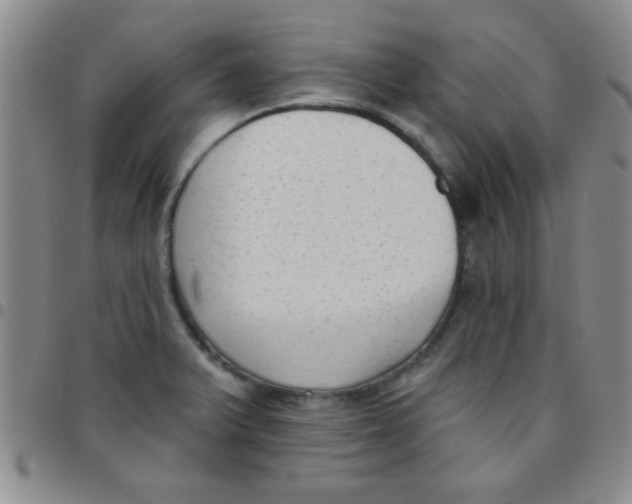 X0000097491375200803141947