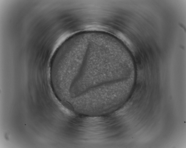 X0000097491376200803141947