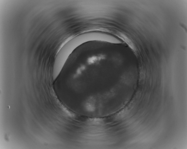 X0000097491377200803141947