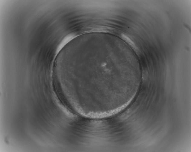 X0000097491378200803141947