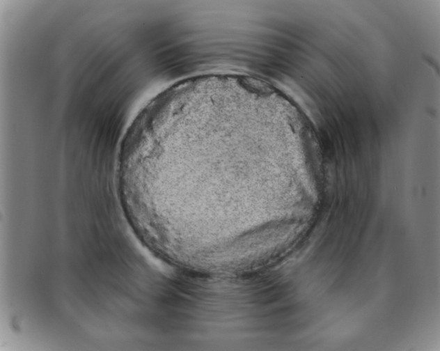 X0000097491379200803141947