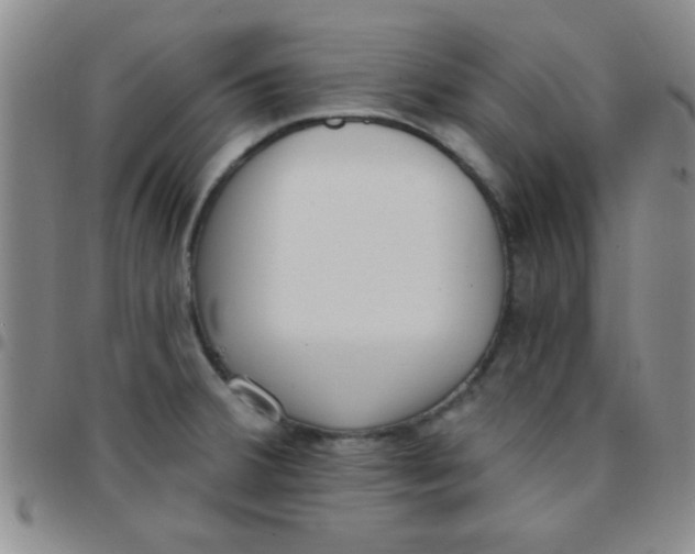 X0000097491380200803141947