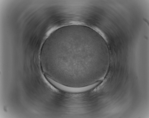 X0000097491381200803141947