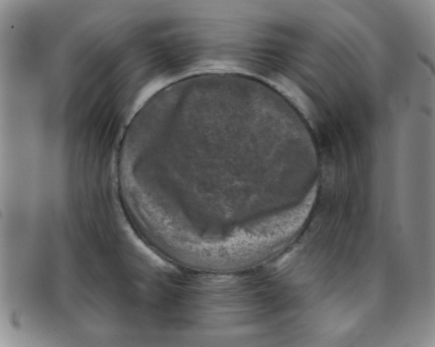 X0000097491382200803141947