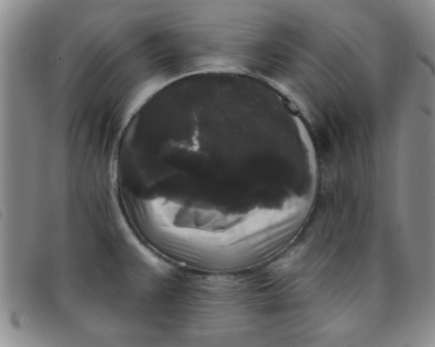 X0000097491383200803141947