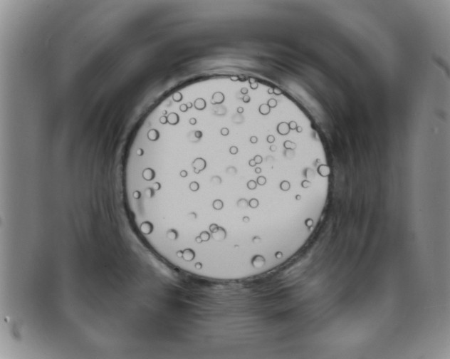 X0000097491384200803141947