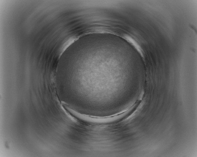 X0000097491385200803141947