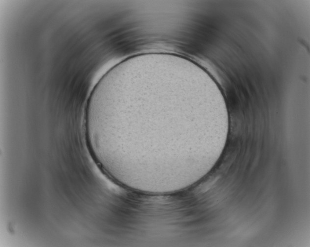 X0000097491387200803141947