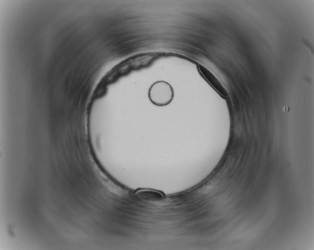 X0000097491388200803141947