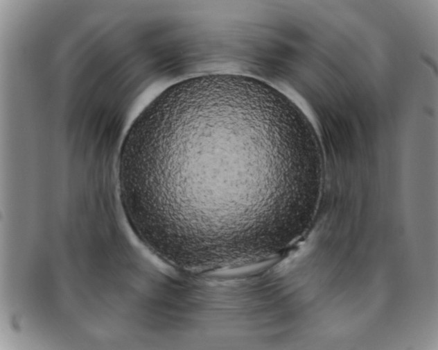 X0000097491389200803141947