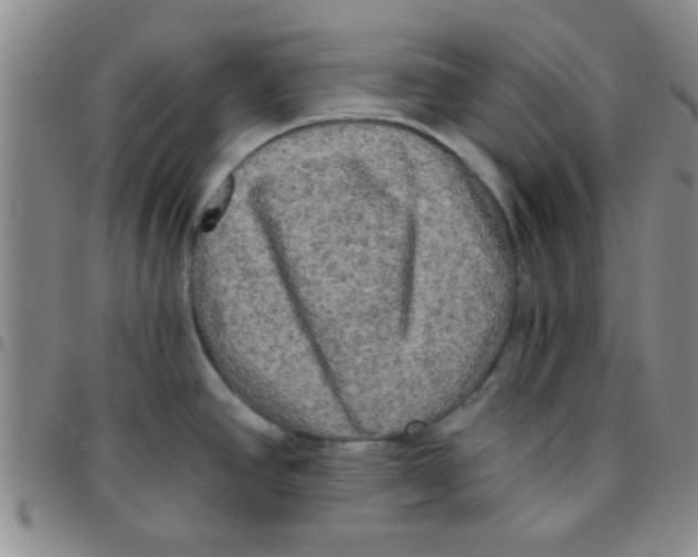 X0000097491390200803141947