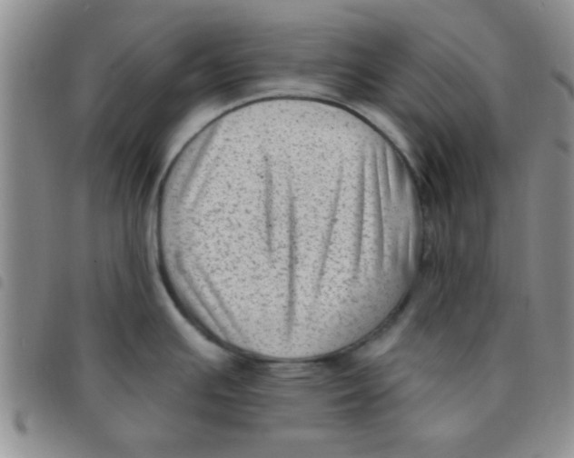 X0000097491391200803141947