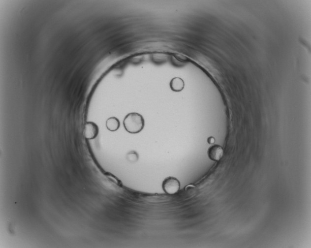 X0000097491392200803141947