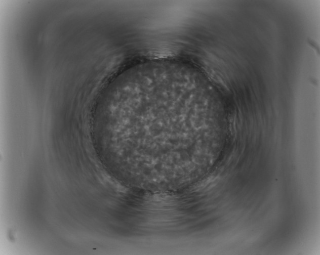 X0000097491393200803141946