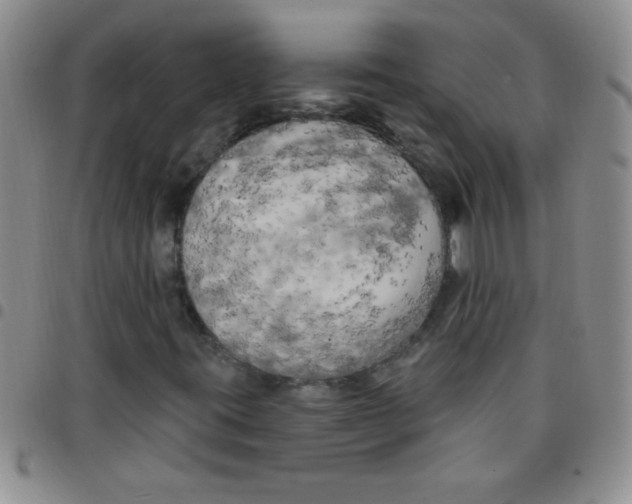 X0000097491395200803141946