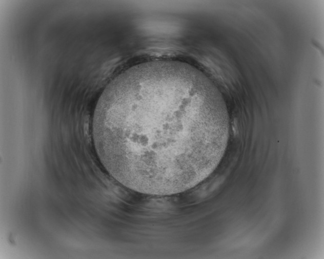 X0000097491396200803141946