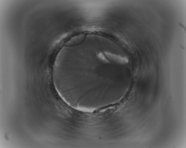 X0000097491398200803141946