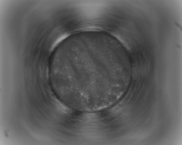 X0000097491402200803141946