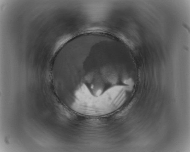 X0000097491405200803141946