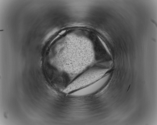 X0000097491406200803141946