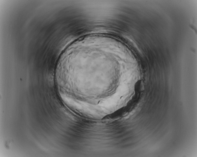 X0000097491409200803141947