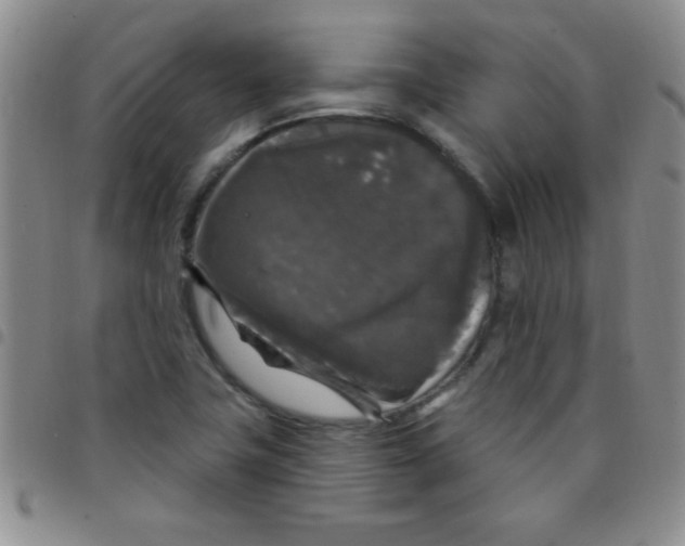 X0000097491411200803141947