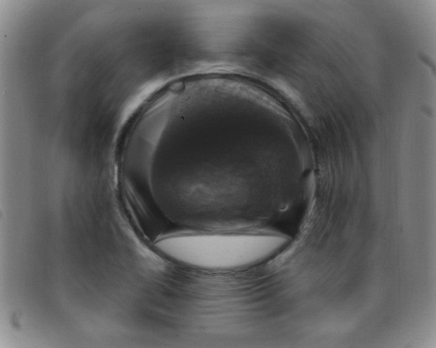 X0000097491414200803141947