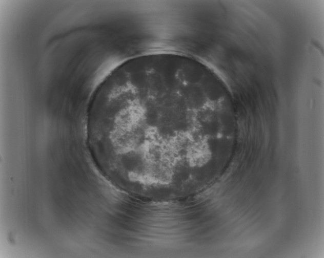 X0000097491415200803141947