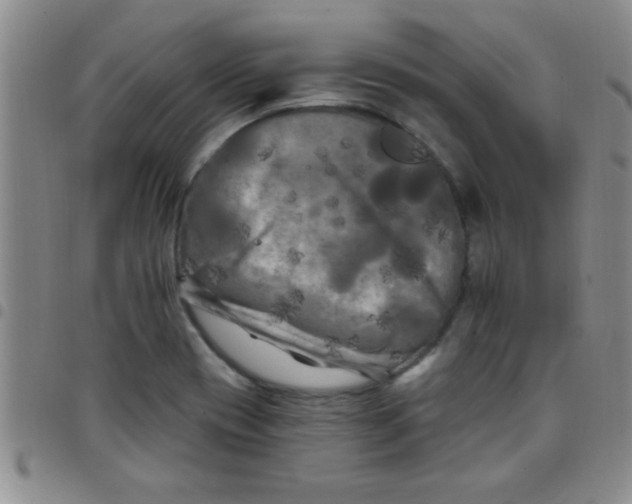 X0000097491417200803141947