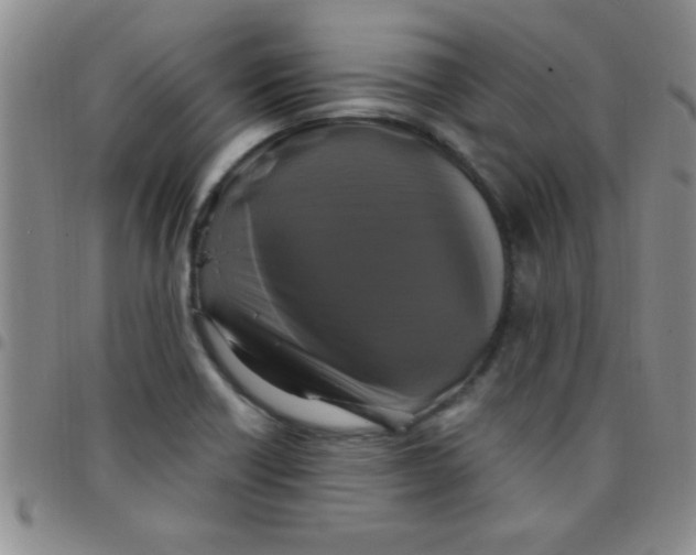 X0000097491418200803141947